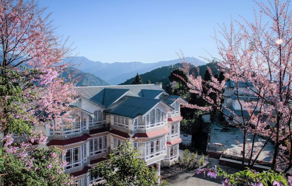 Norbu Ghangh Retreat & Spa Pemayangtse Eksteriør billede